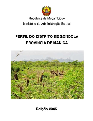 PT-Perfil do Distrito de Gondola Provincia de Manica-Ministerio da Administracao Estatal.pdf