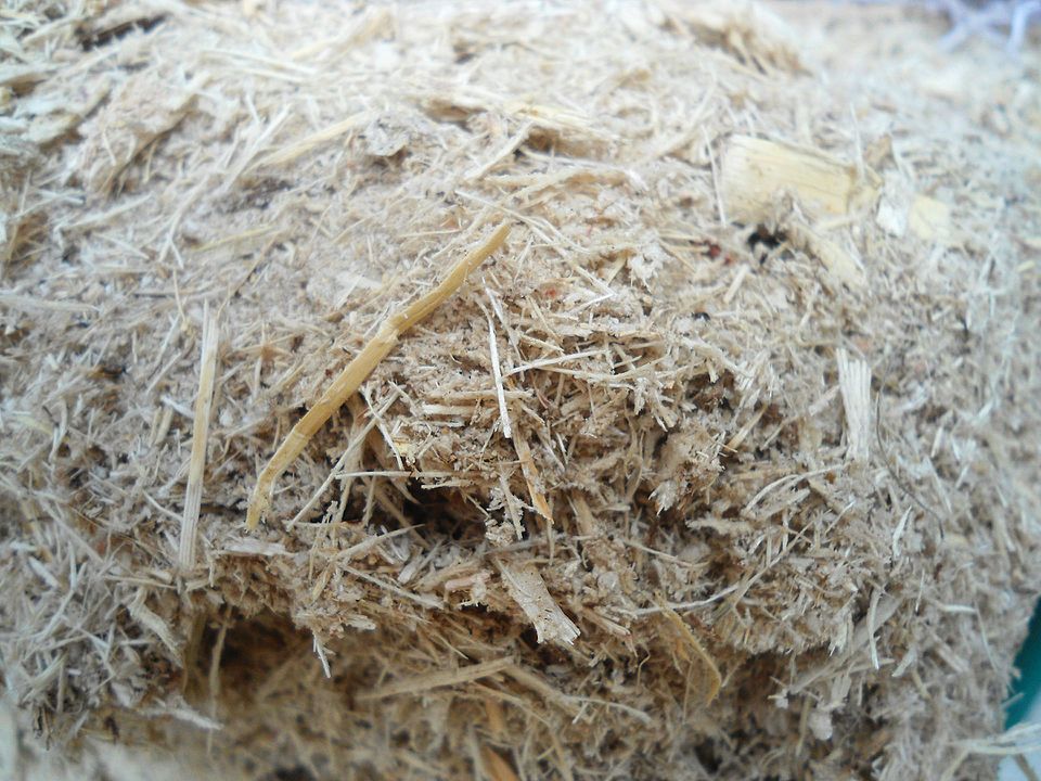 File:Bagasse in Hainan - 02.jpg