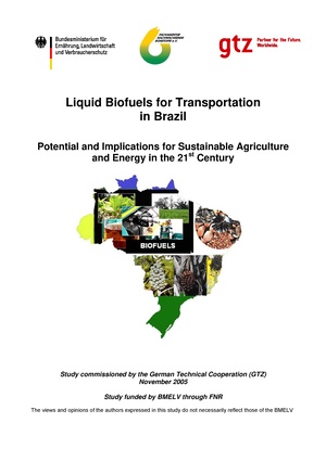 Biofuels for Transportation in Brazil.pdf