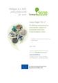 An Efficient Mechanism for Cross-border Support of Renewable Electricity in the European Union.pdf