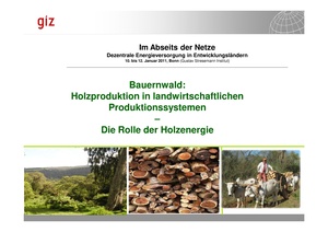 GIZ Im Abseits der Netze 012011 TW3d 4 Bauernwald Breuer.pdf