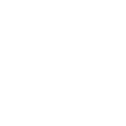 Icon-rural-electrification-white.svg