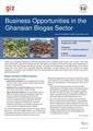 GIZ 2014, Business Opportunities in the Ghanaian Biogas Sector.pdf
