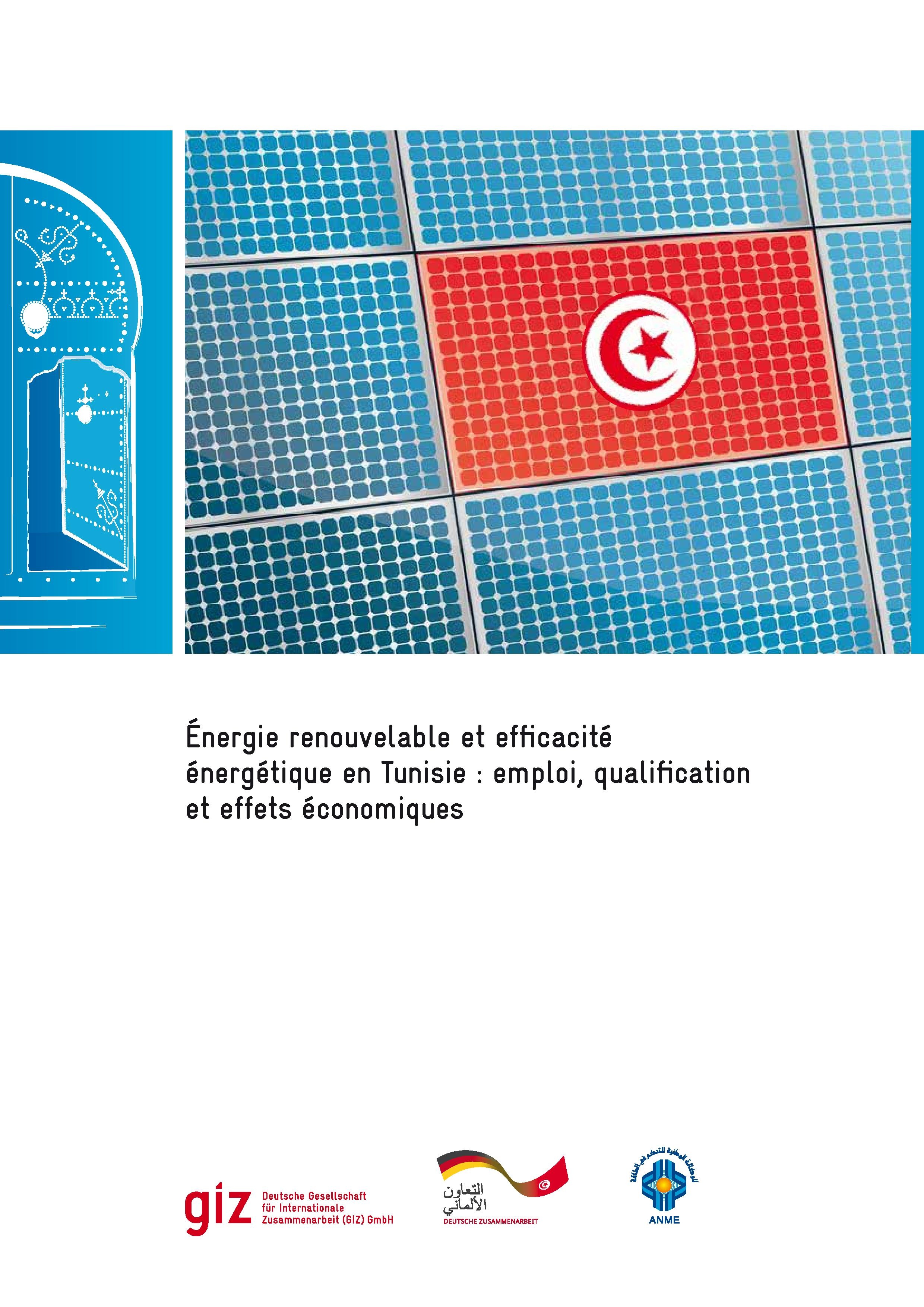 Version francais: Énergie renouvelable et efficacité énergétique en Tunisie : emploi, qualification et effets économiques