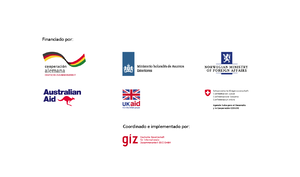 Logos-paises-donantes.png