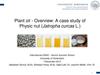 File:Plant Oil - A Case Study of Physic nut (Jatropha curcas L.).pdf