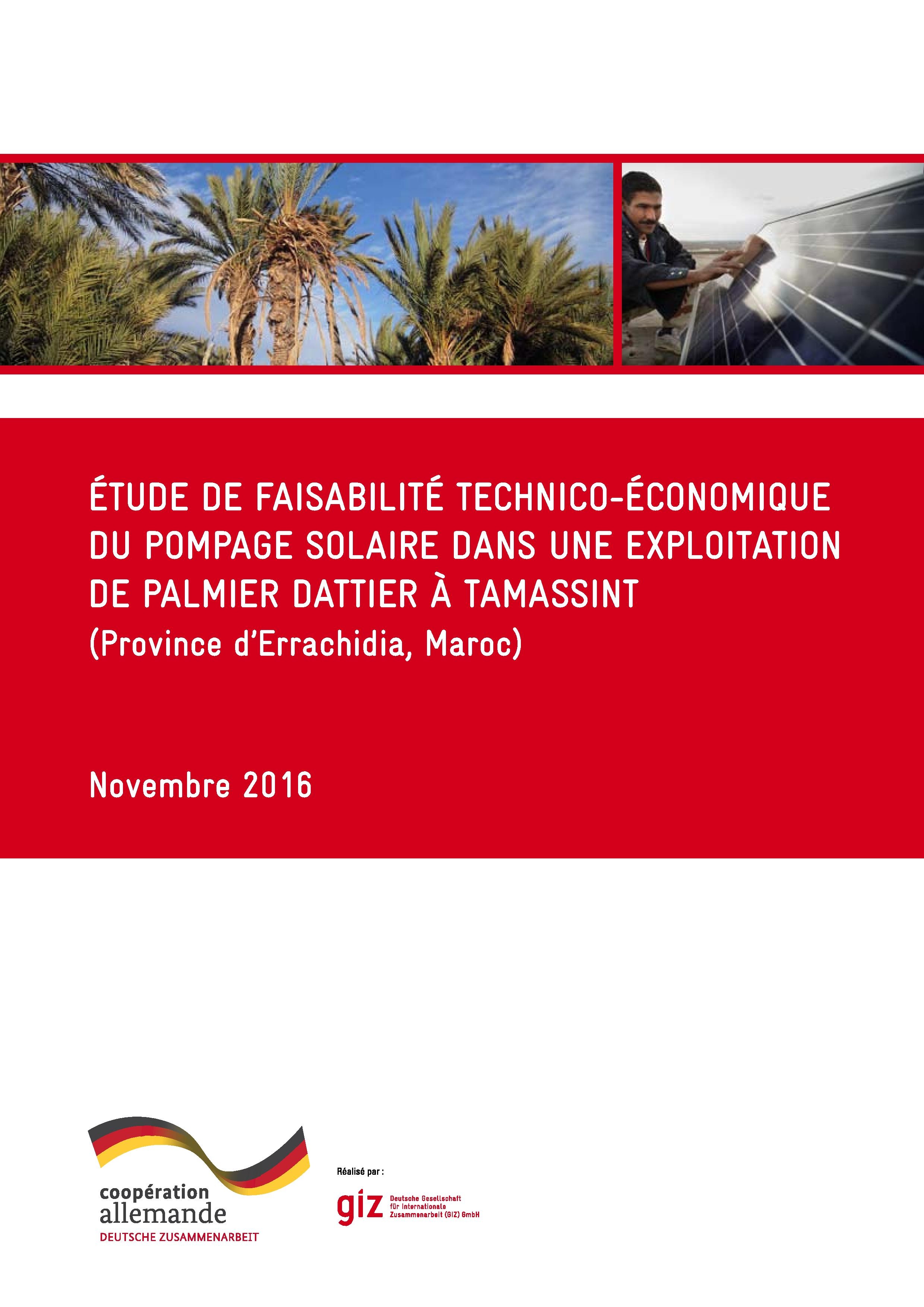 Editing Étude de faisabilité technico-économique du pompage solaire dans une exploitation de palmier dattier à Tamassint (Province d’Errachidia, Maroc)