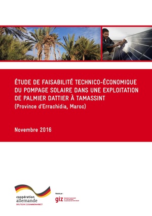 Étude de faisabilité technico-économique du pompage solaire dans une exploitation de palmier dattier à Tamassint- Maroc.pdf