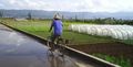 Agricultural worker on the way to work.jpg