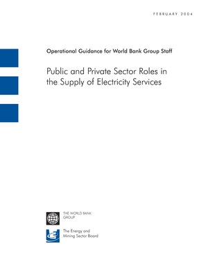 Public and Private Sector Roles in Supply of Electricity Services.pdf