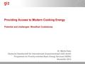 Providing Access to Modern Cooking Energy.pdf