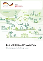 Best of GBE Small Projects Fund Sustainability Synthesis Report.pdf
