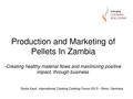 Production and Marketing of Pellets In Zambia - Sonta Kauti, Bonn 2013.pdf