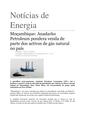 PT-Mocambique-Anadarko Petroleum pondera venda de parte de activos de gas natural no pais-Aunorius Andrews.pdf