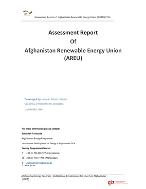 Capacity Assessment of AREU Private Sector- Report.pdf