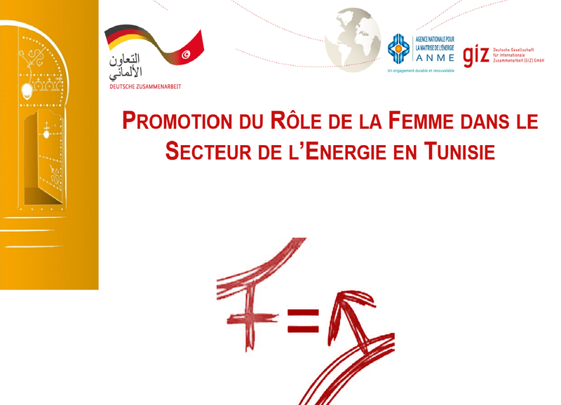 Promotion du rôle de la femme dans le secteur de l'energie - Tunisie