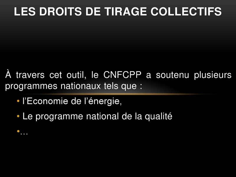 File:Présentation CNFCPP-Fr-Plénière.pdf