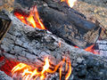 Firewood burning.jpg