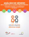 Análisis de género en el marco del PPP 2014.pdf
