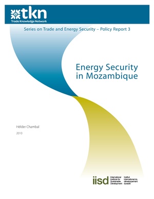 EN-Energy security in Mozambique-Helder Chambal.pdf