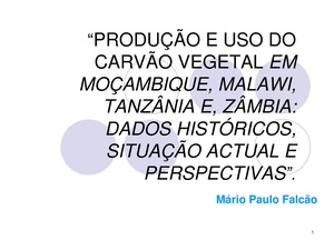 PT-Producao e Uso do carvao vegetal em Mocambique, Malawi, Tanzania e Zambia ...-Mário Paulo Falcão.pdf