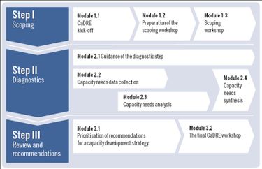 Overview of CaDRE steps and modules.jpg
