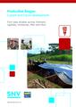 EN Productive Biogas Current and Future Development 2014.pdf
