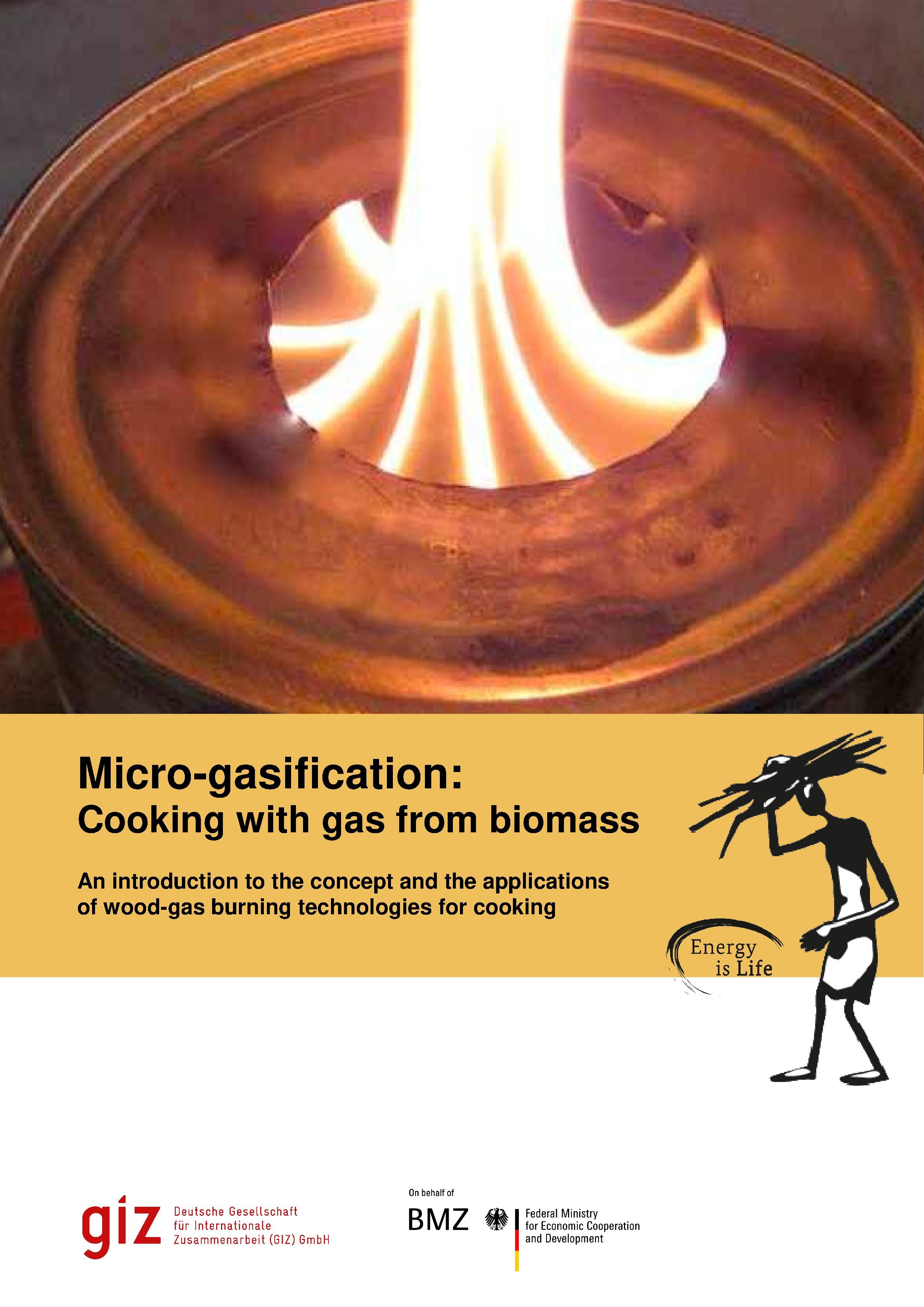 Manual on Micro-gasification"
