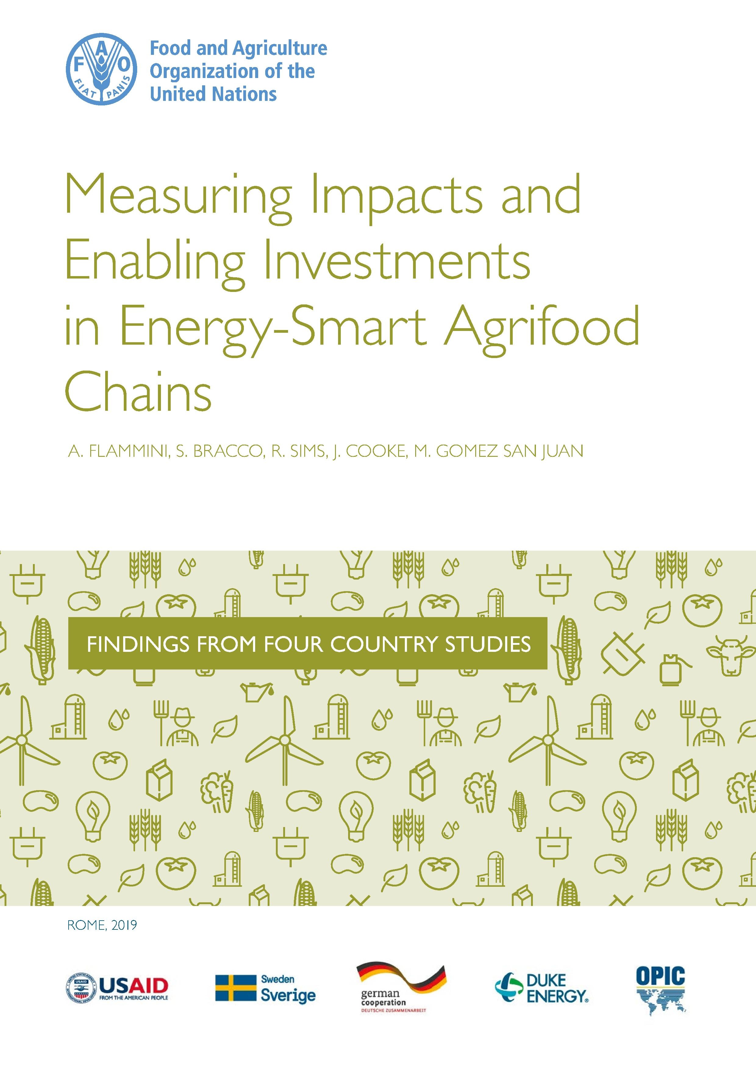 FAO (2019). Measuring Impacts and Enabling Investments in Energy-Smart Agrifood Chains.