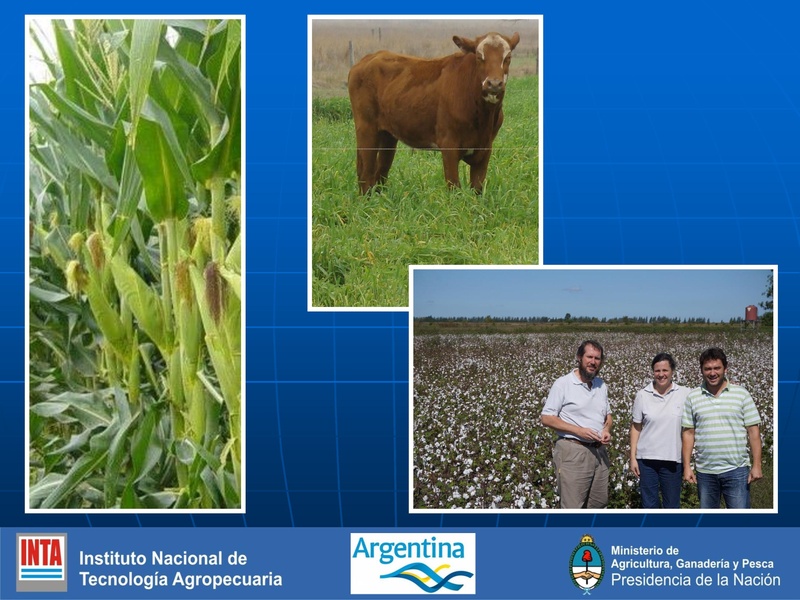 File:BioDigestato, BiolCaracterísticas y empleo.pdf