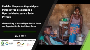 Clean Cooking in Mozambique - Webinar Presentation (Portuguese)