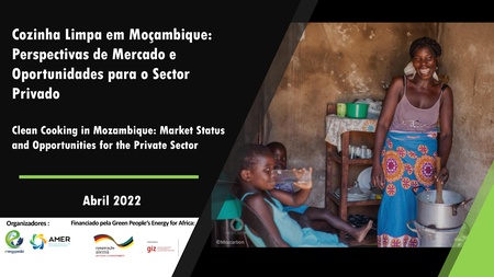 Clean Cooking in Mozambique - Energypedia Presentation.pdf